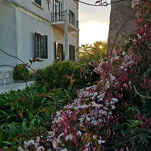 Bed & Breakfast Maria